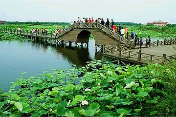 荷塘月色湿地公园第 29 张图片