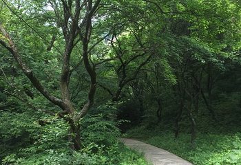 玉华宫景区第 36 张图片