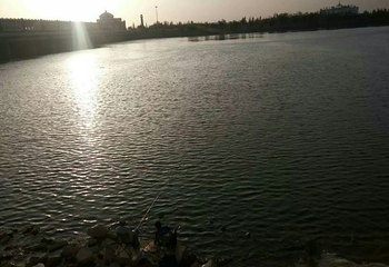 黄河三盛公水利风景区第 30 张图片