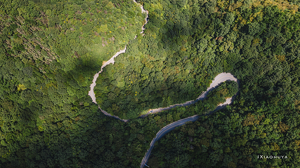 牛背梁国家森林公园第 31 张图片