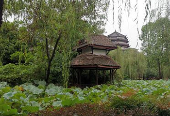 宝光桂湖文化旅游区第 7 张图片
