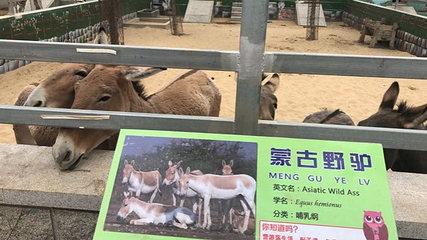 黄金河度假村第 16 张图片