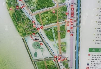 李中水上森林公园第 92 张图片