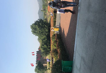 花海乐园第 28 张图片