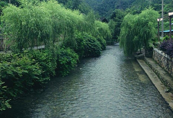 五排河漂流风景区第 12 张图片