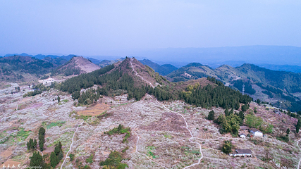 统景印盒李花生态旅游区第 22 张图片
