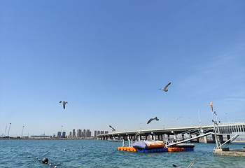 大连滨海国家地质公园第 24 张图片