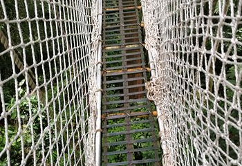 阿莲雅景区第 21 张图片