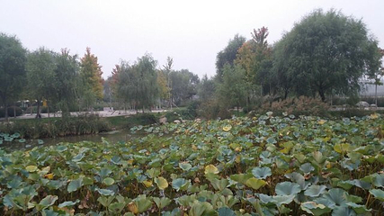 清水湾·乐汤汇都市温泉度假中心(北二环店)第 20 张图片