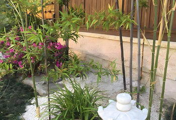 禅意小镇·拈花湾第 38 张图片