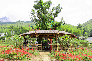 天仙峡景区第 22 张图片