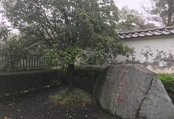 桂林园林植物园第 30 张图片