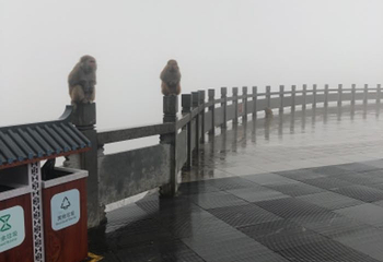 816工程景区第 93 张图片