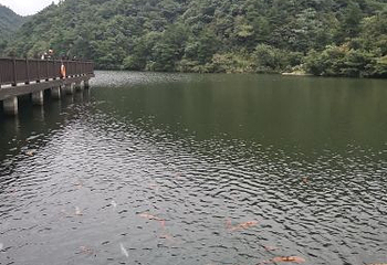 浙江大明山地质公园第 191 张图片