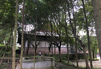 新津观音寺第 7 张图片