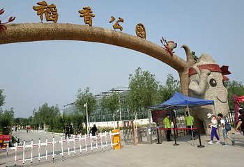 稻香农谷第 28 张图片