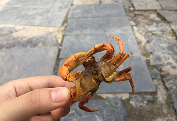 桂林市榕杉湖景区第 35 张图片