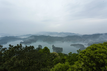 万绿湖风景区第 50 张图片