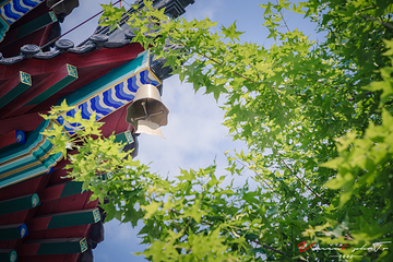 温泉寺第 9 张图片