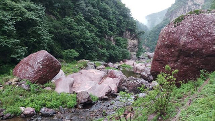 小沟背风景区第 38 张图片