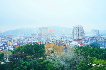 大炮台第 39 张图片