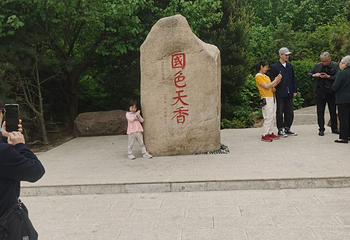 国际牡丹园第 47 张图片
