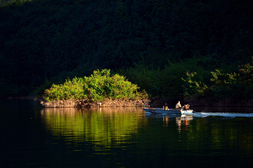 南腊河野趣营地第 27 张图片