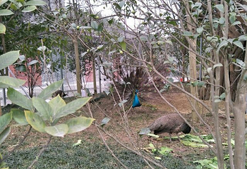 仙芝竹尖生态园第 12 张图片