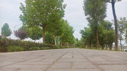 鄢陵鹤鸣湖国家湿地公园第 21 张图片