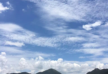 大树岛第 9 张图片
