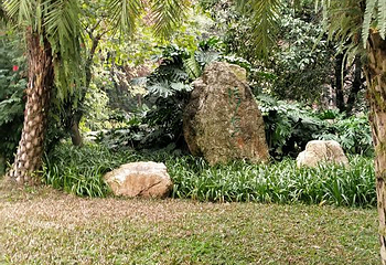 天适樱花悠乐园第 69 张图片