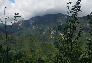 三分石景区第 40 张图片
