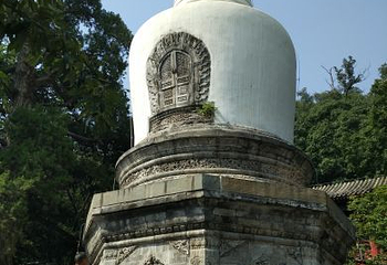 大觉寺第 37 张图片