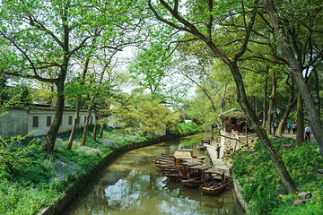 虎丘山风景名胜区第 257 张图片
