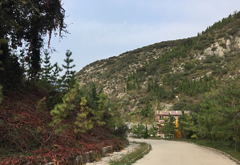 金象山橡谷国际营地第 59 张图片