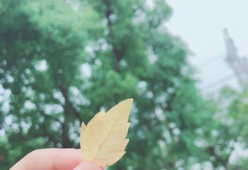 苏州乐园森林水世界第 66 张图片