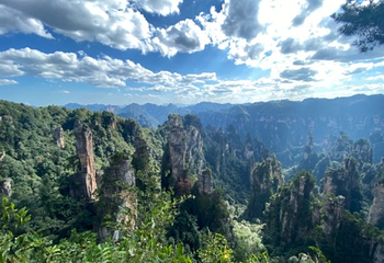 天子山风景区第 85 张图片