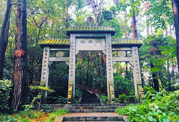 岳麓山第 120 张图片