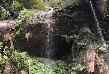 蜀南竹海风景名胜区-忘忧谷第 12 张图片
