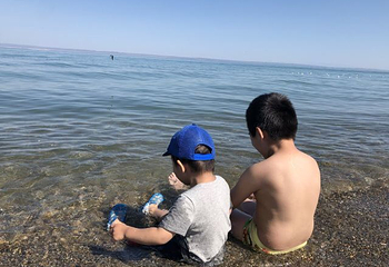 乌伦古湖国家湿地公园第 24 张图片
