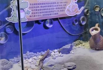 西安海洋馆第 2 张图片
