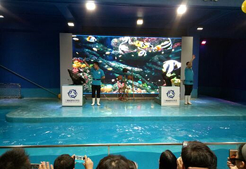 兰州极地海洋世界第 24 张图片
