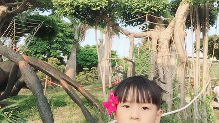 科隆千树园第 11 张图片