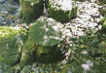 平利天书峡景区第 23 张图片