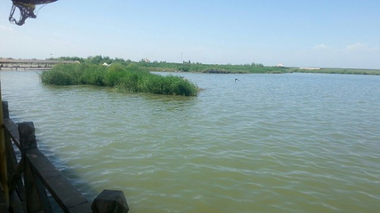 博斯腾湖大河口景区第 57 张图片