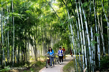 白水寨风景名胜区第 17 张图片