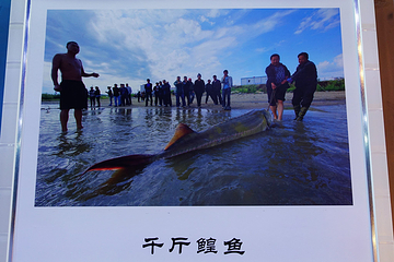 北大荒鱼展馆第 8 张图片
