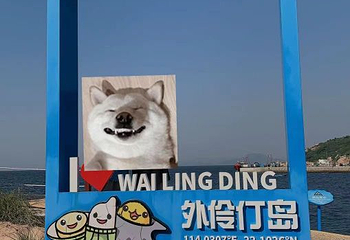 外伶仃岛第 66 张图片