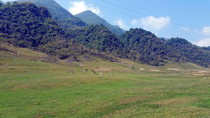 红池坝风景区第 45 张图片