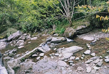 亚木沟风景区第 73 张图片